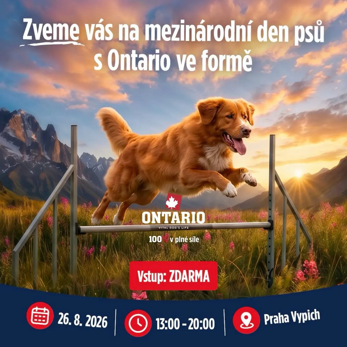 International Dog Day with Ontario at Vypichu — Louka na Vypichu, Prague