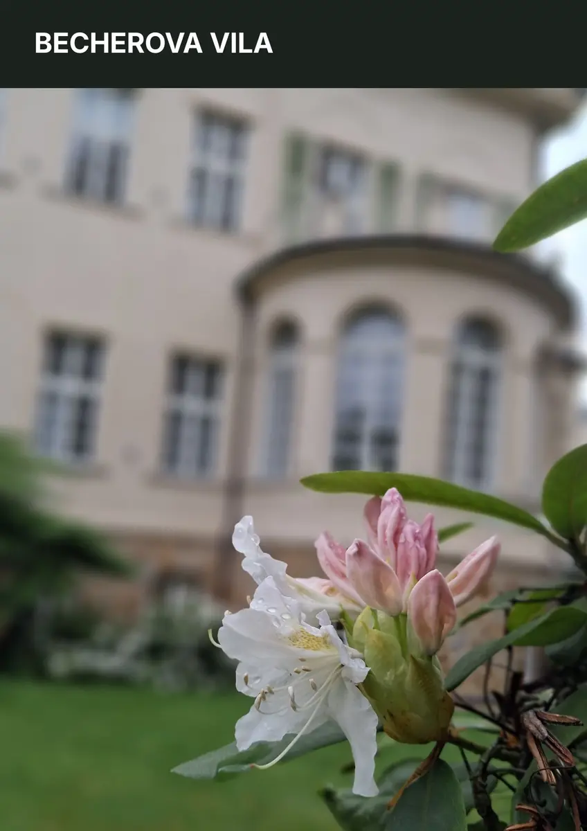 Author Workshop with Lenka Vilhelmová — Art Gallery Karlovy Vary, Karlovy Vary