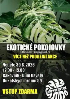 Exotic Houseplants