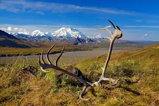 Travel Lecture: Alaska and Yukon - Wilderness, Glaciers and Gold Rush