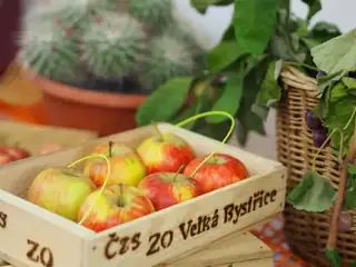 Autumn Fruit, Vegetable and Flower Exhibition