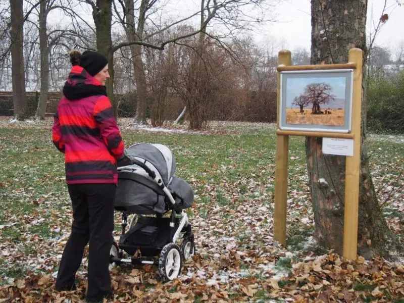 Fluss Bystřice - Open-Air-Fotoausstellung — Amfiteátr, Velká Bystřice