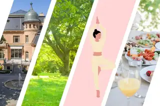 Yoga Under the Trees & Brunch at Vila Löw-Beer