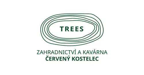 Концерт Владимира Яворского