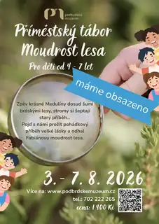 Příměstský tábor Moudrost lesa