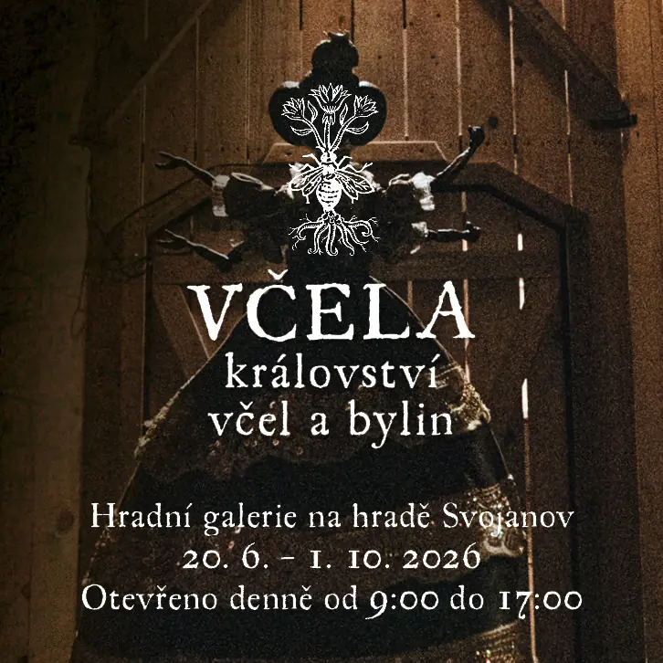 Королевство пчёл и трав — Hrad Svojanov, Своянов
