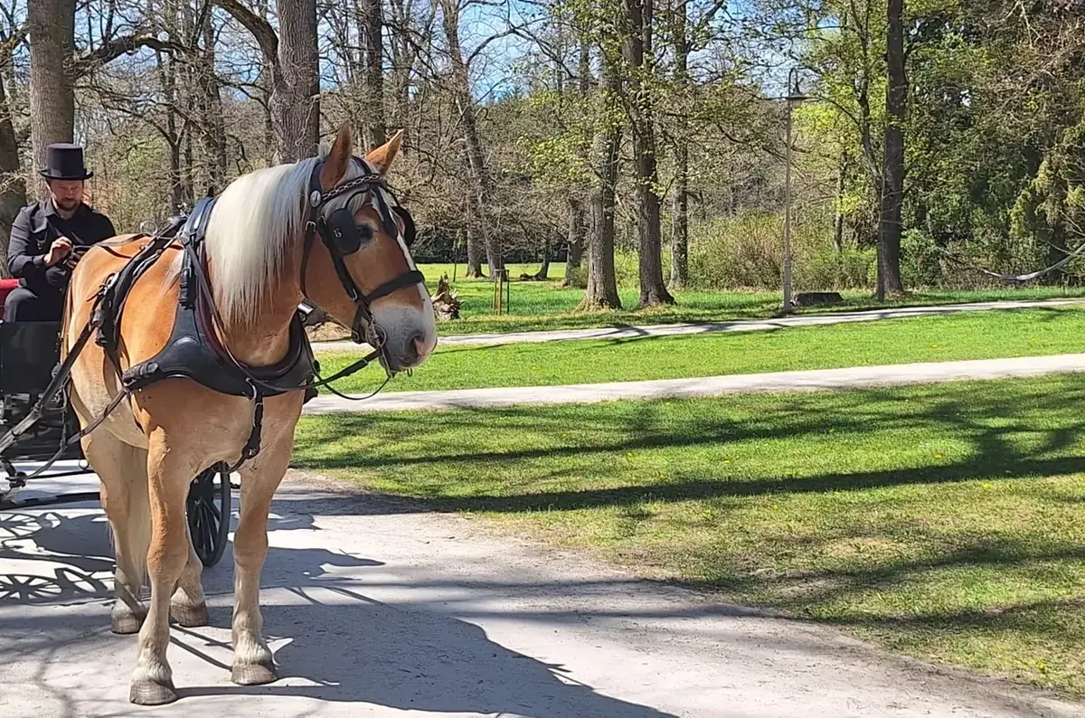 Kutschfahrt auf Schloss Kratochvíle — Zámek Kratochvíle, Netolice