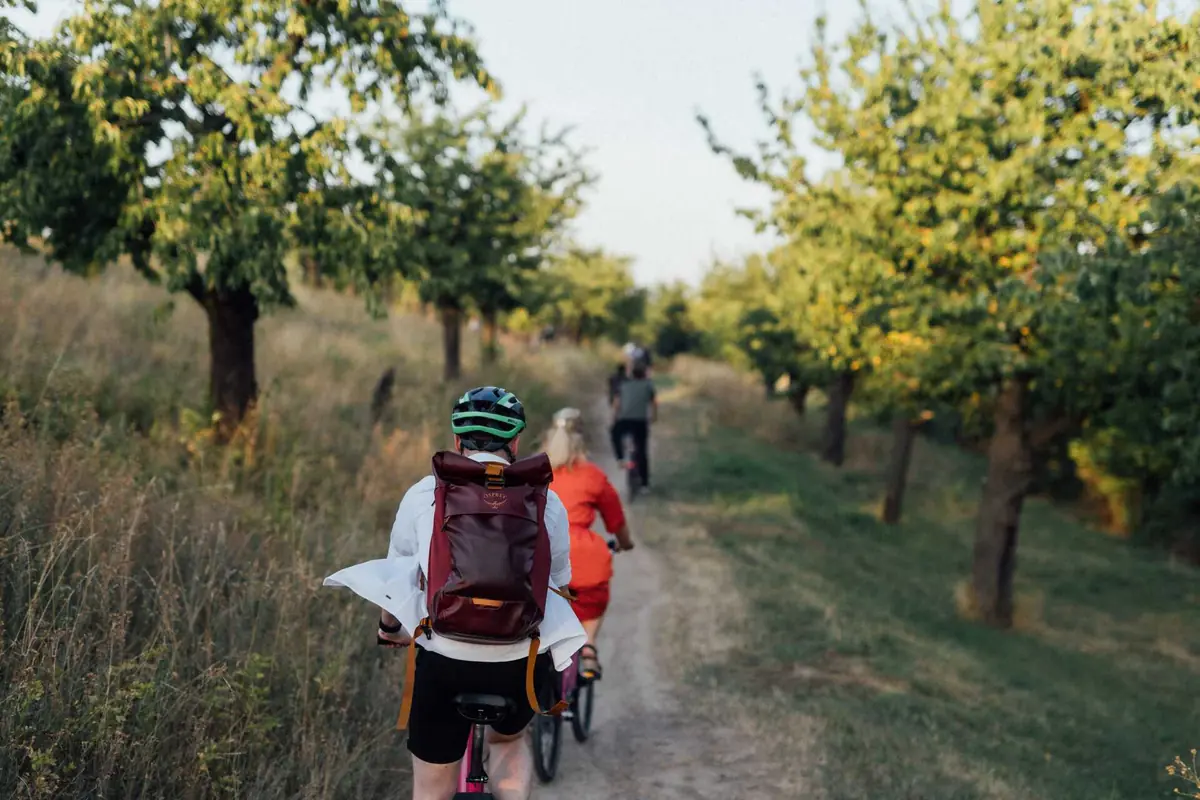 CAMP Tour: Cycling Along Historic Routes — Metro Letňany, Letňany