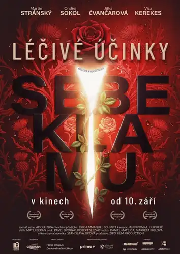 The Healing Power of Self-Promotion (Czech Republic) 2D