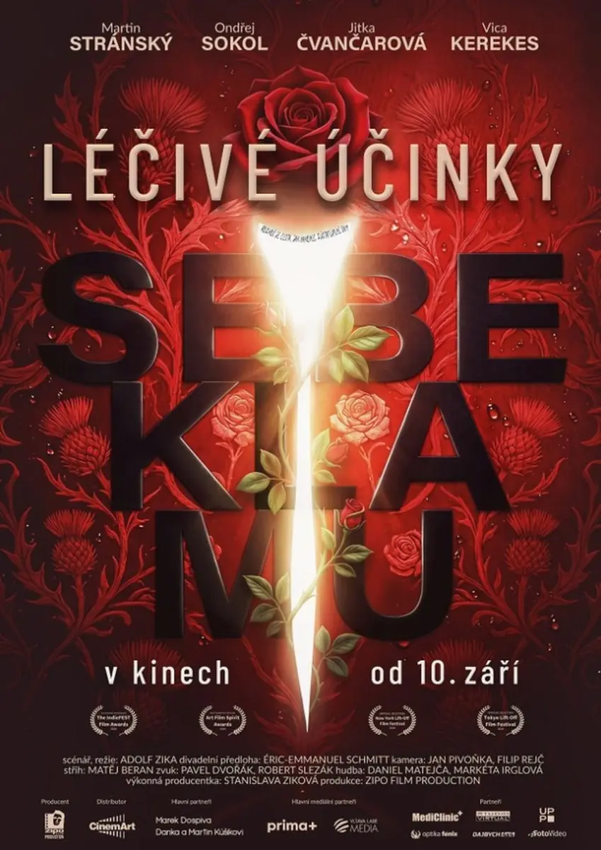 The Healing Power of Self-Promotion (Czech Republic) 2D — Kulturní centrum, Česká Třebová