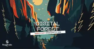Digital Forest Festival - Warm Up