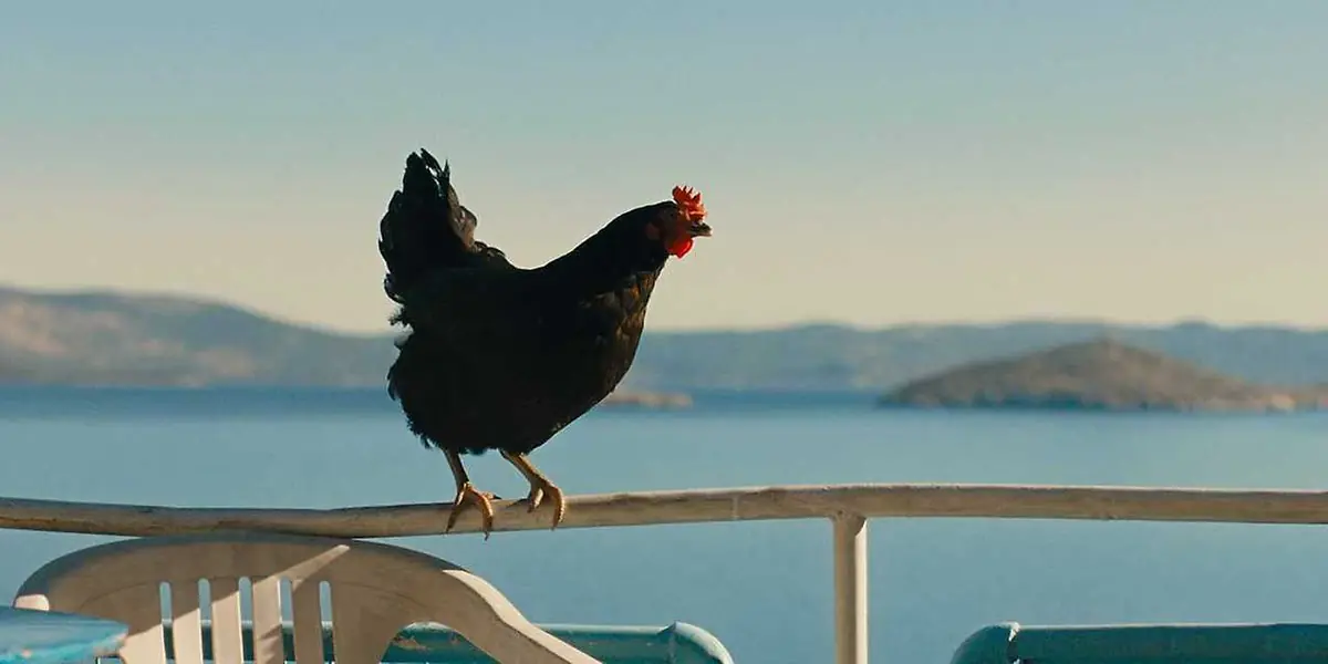 Hen — Kino Atlas, Prague