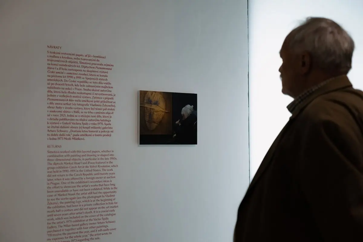 Guided Tour of the Exhibition "Dear Adrienne" with Curator Jan Skřivánek — Museum Kampa, Prague