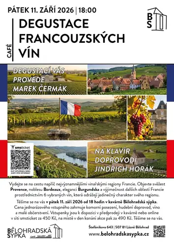French Wine Tasting