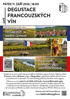 French Wine Tasting