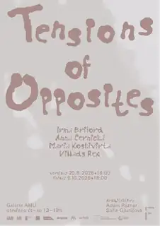 Tensions of Opposites