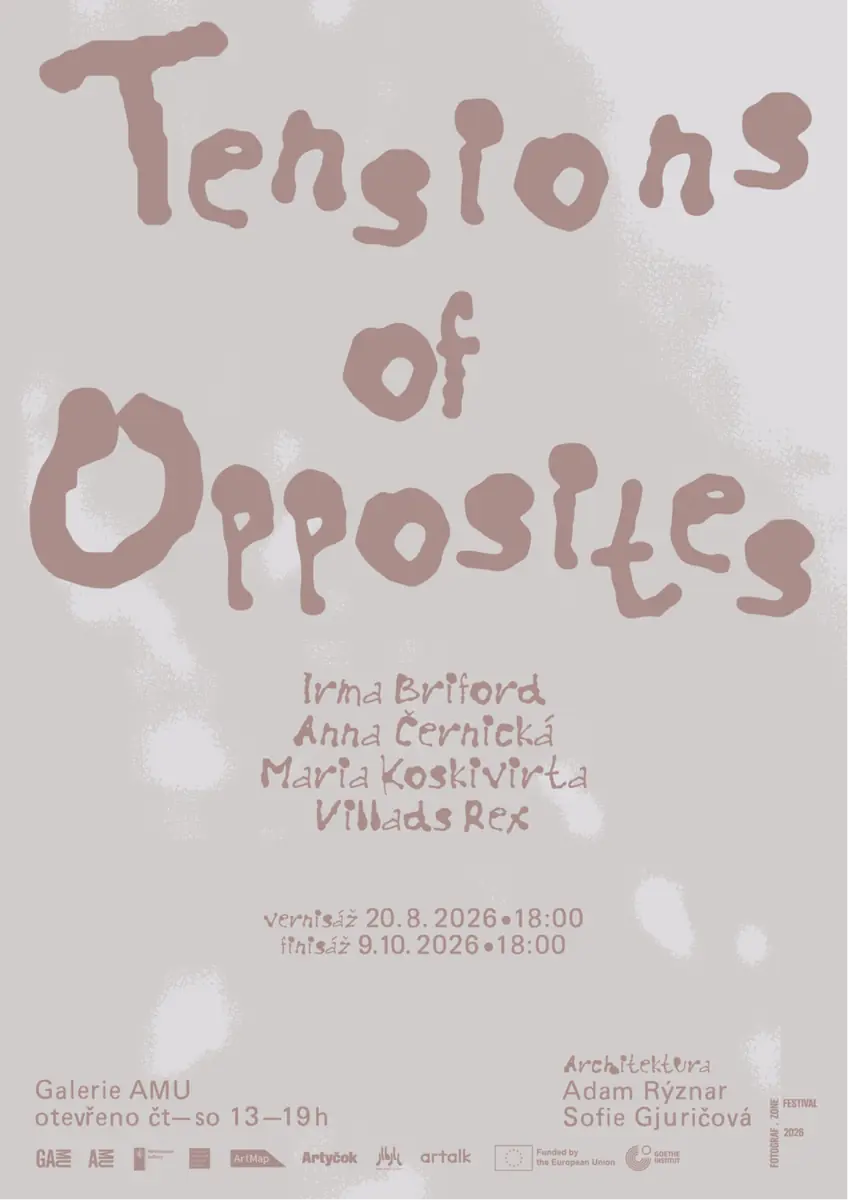 Tensions of Opposites — Galerie AMU, Prag