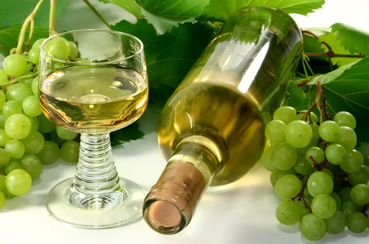 Bzenec Fair 2026 — Provozovatel město Bzenec, Bzenec