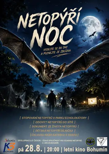 Bat Night
