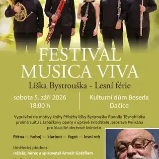 Фестиваль MUSICA VIVA