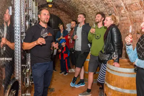Open Cellars Day