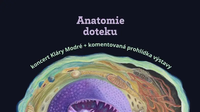 Klára Modrá: Konzert & kommentierte Ausstellungsführung — Gemeindehaus Kokos, Nymburk