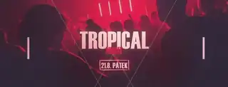 Tropical Night