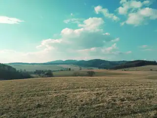 Geländeexkursion: Waldnetze der Javorské-Berge