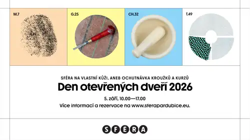День открытых дверей: Пробные занятия и курсы в СФЕРЕ