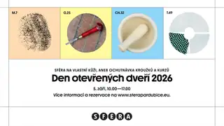 Open Day: Taster of Clubs and Courses at SFÉRA