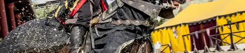 Лицарський турнір верхи на конях
