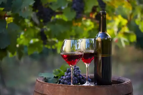 Open Wine Cellars of Czech Středohoří 2026