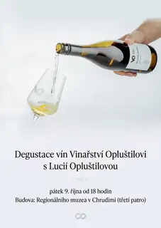 Degustace vín - Vinařství Opluštilovi