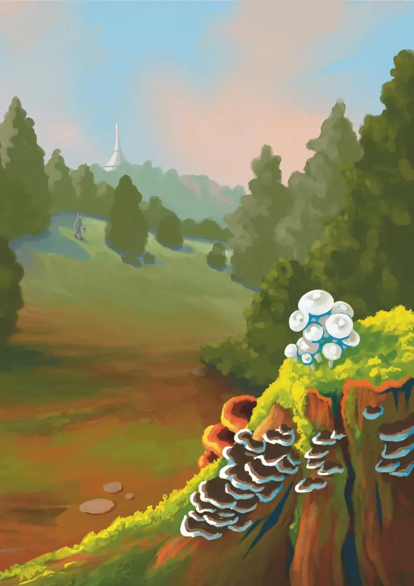 Mushroom Foraging Course for Intermediate Learners with Daniela — Gymnázium, Havlíčkův Brod