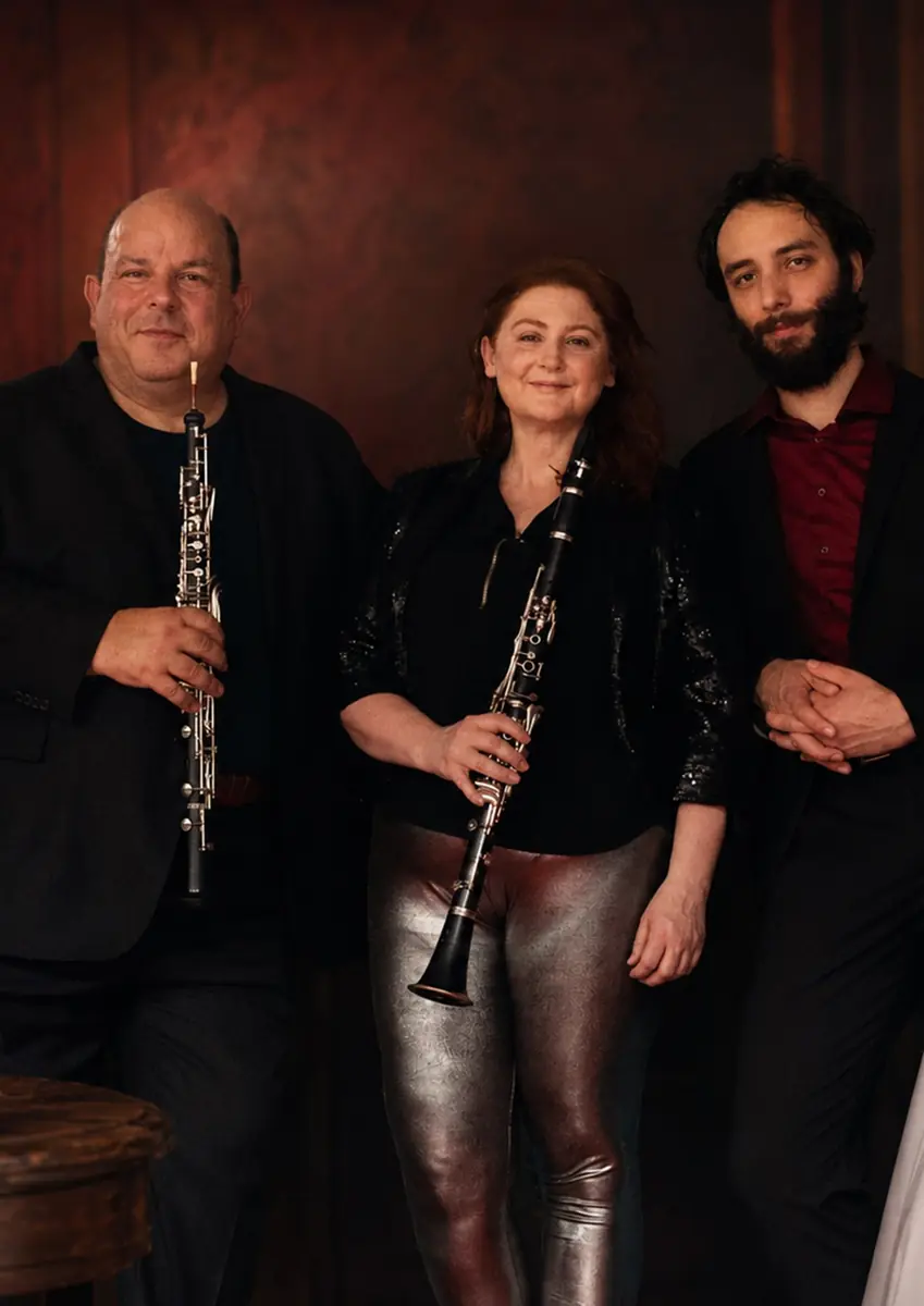 DEMOS Ensemble: Raný romantismus | Komorní koncert — Úřad městské části Brno-střed, Brno