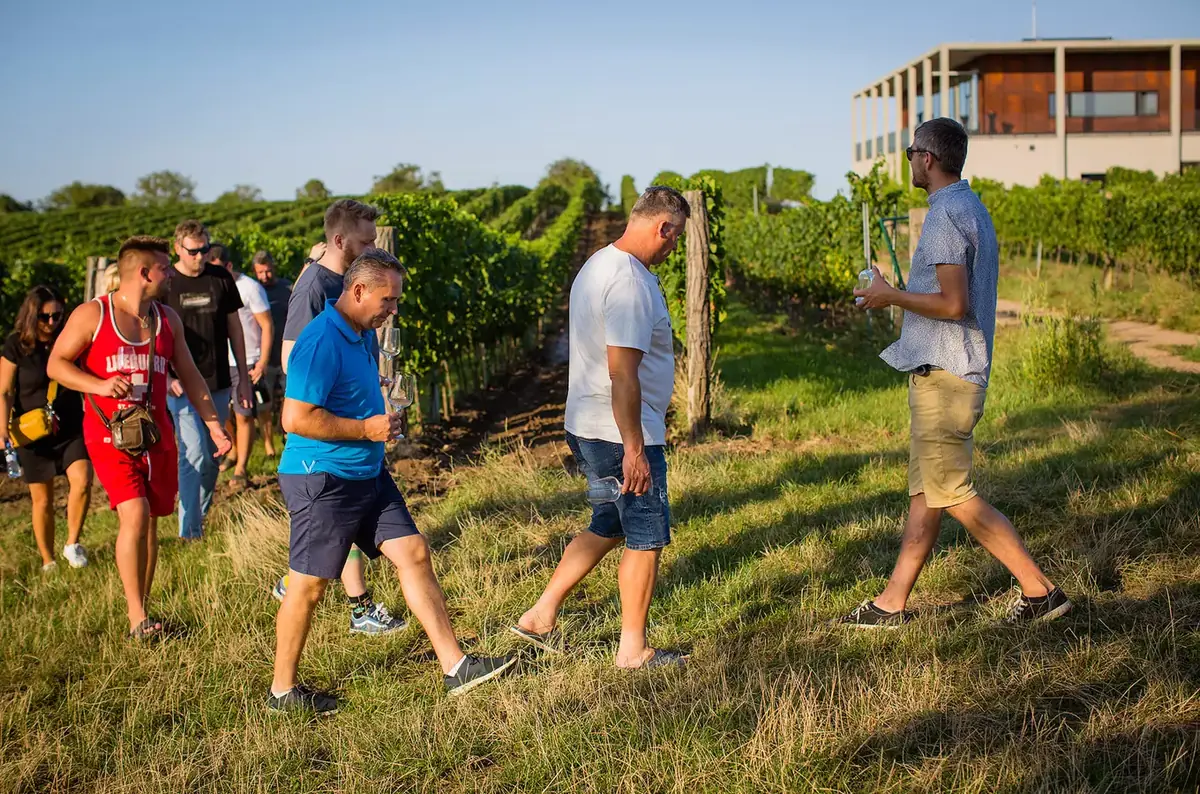 Wine Academy - Cadet — Vinařská akademie Valtice, z.s., Valtice