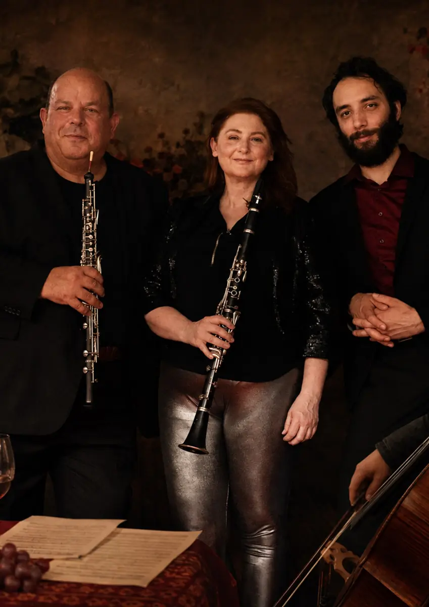 DEMOS Ensemble: Vrcholný romantismus | Komorní koncert — Úřad městské části Brno-střed, Brno