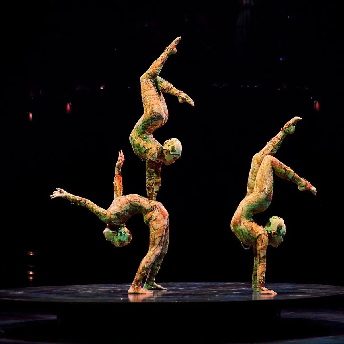 Cirque du Soleil: KOOZA — Dusíkovo divadlo, Čáslav