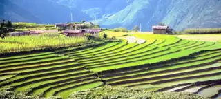 South Asia - The Most Diverse Exoticism of Our Planet (VU3V)