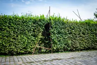 Spatial Creation - Land Art I - Workshop for Children with Parents on Parental Leave