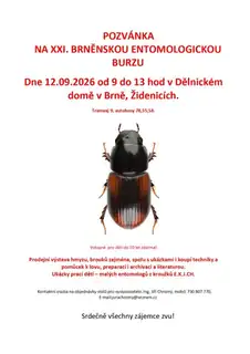Ентомологічна ярмарка