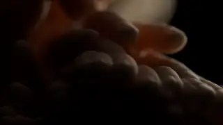 Паула Малиновска - Swelling Petals, Counting Opacity