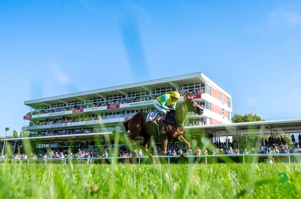 IV. kvalifikace na Velkou pardubickou se Slavia pojišťovnou a Evropský den koní — Dostihové závodiště, Pardubice