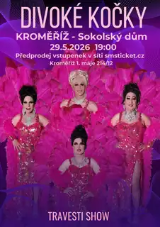 Трансвестит-группа «Дикие кошки» в Кромержиже