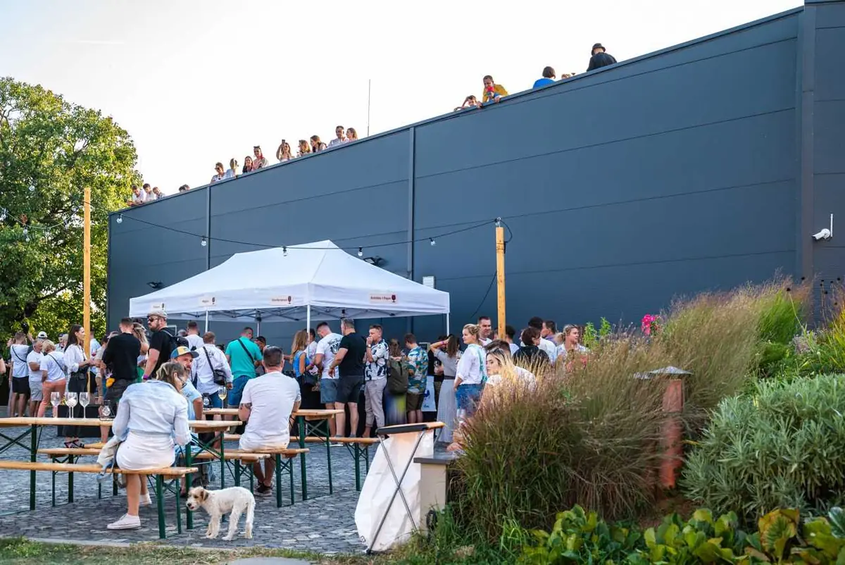Vlci a ruže Minifestival 2026 — Magula – rodinné vinárstvo, Suchá nad Parnou