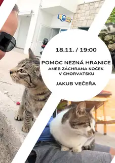 Help Knows No Borders: Rescuing Cats in Croatia