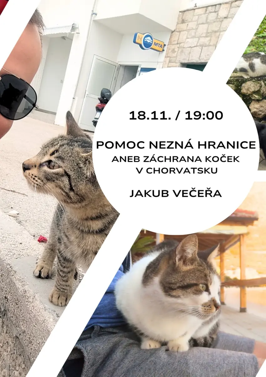 Pomoc nezná hranice aneb Záchrana koček v Chorvatsku — Klub cestovatelů, Brno