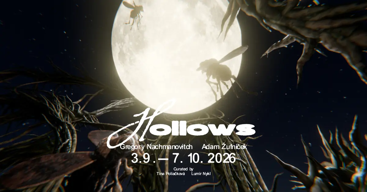 Gregory Nachmanovitch & Adam Žufníček - Hollows — Holešovická Šachta, Prag