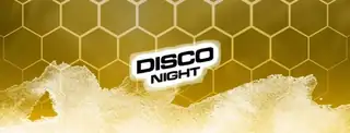 DISCO NIGHT