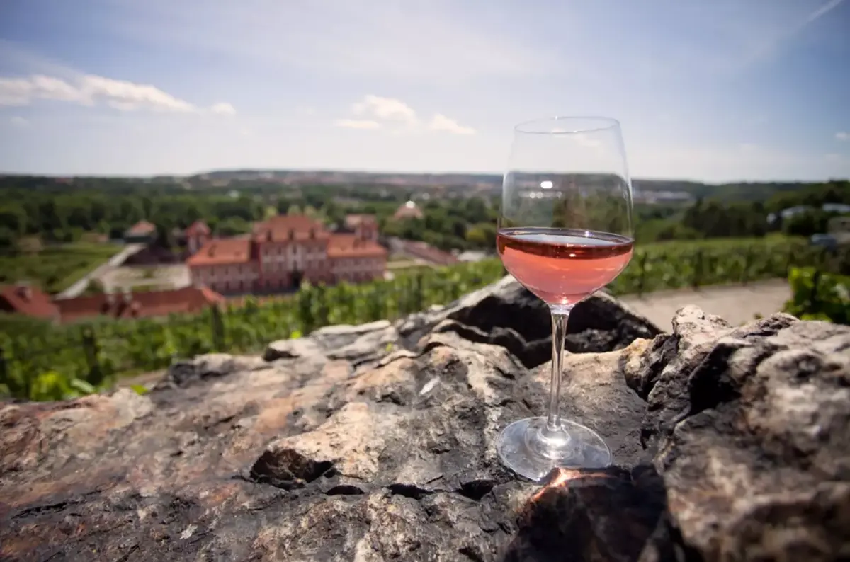 Vinobraní at Vinice sv. Kláry in Troja 2026 — Botanická zahrada hl. m. Prahy, Prague